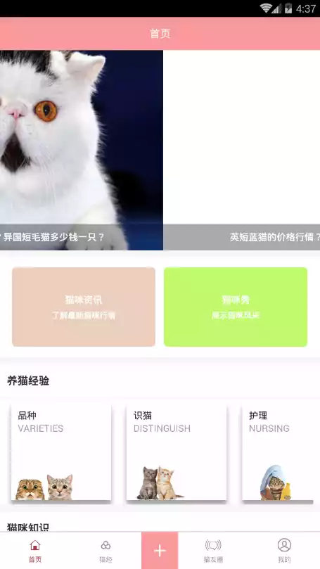 爱猫咪商城