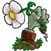植物大战春哥 2.1