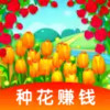 玫瑰小镇游戏 5.1