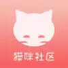 猫咪社区 4.8