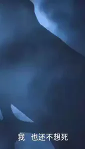 斗罗大陆第196集免费观看