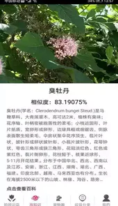 拍照识花神器最新版