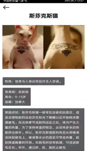 拍照识花神器最新版