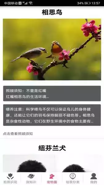 拍照识花神器安卓版