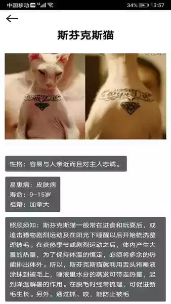 拍照识花神器安卓版