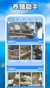养猪场之星手机版