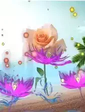 3d电子相册安卓版
