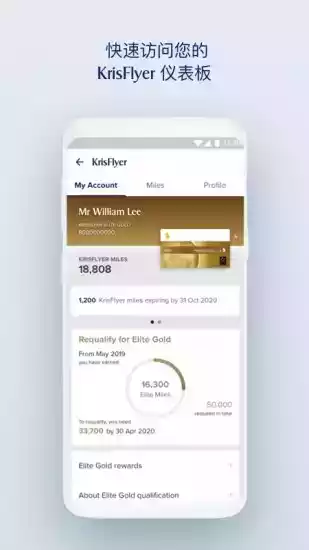 新加坡航空软件