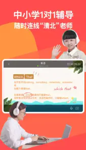 掌门VIP辅导