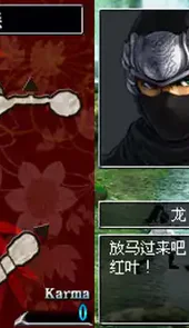 忍者龙剑传