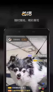 番禺天气手机版