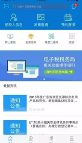 广东电子税务局网站官网