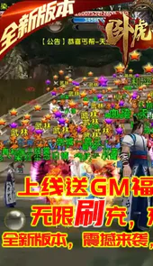 卧虎藏龙手游gm版