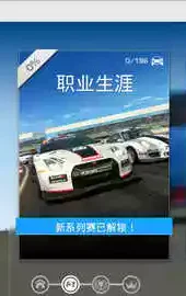 真实赛车3存档破解版