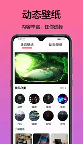 手机桌面主题免费版