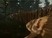 the forest