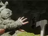 the forest
