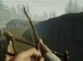 the forest