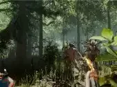 the forest