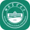 湖南农业大学信息门户新教务系统网址 7.7