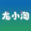 龙小淘软件 7.18