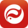 高人汇app 7.23