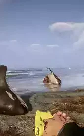 森林之子手游