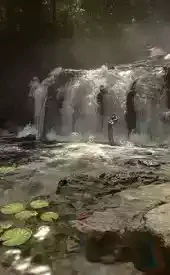 森林之子手游