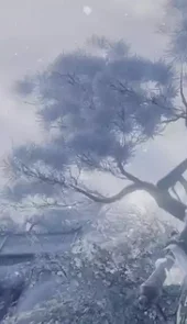 剑三配装器