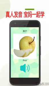 宝宝英语早教
