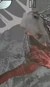 邪恶森林逃脱