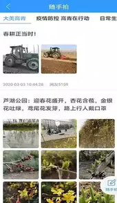 最高青APP