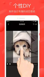 萤火视频桌面