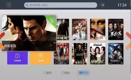 飞视浏览器tv版官网