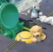 动物派对联机版游戏