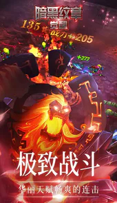 暗黑纹章觉醒(36D勇士)