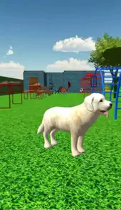 虚拟小狗宠物狗护理3d