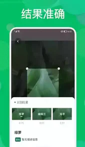 看图识物app