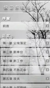 侯卫东官场笔记