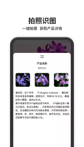以图搜图最新