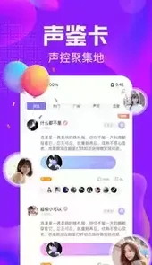 纯纯语音ios