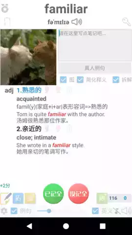 迈西背单词苹果版