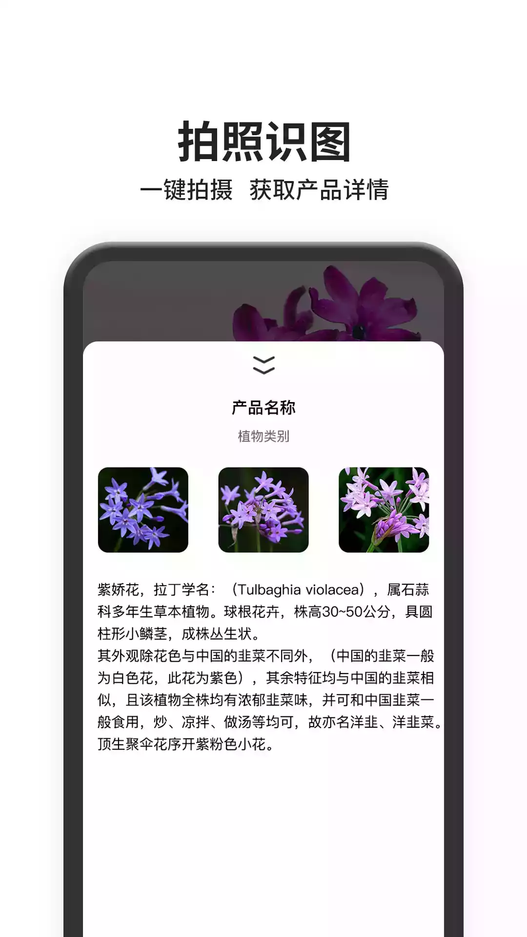 以图搜图app