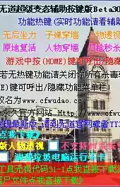 CF无道辅助
