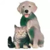 猫狗翻译官 1.23