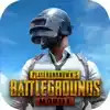 pubg国际服ios 1.5.2