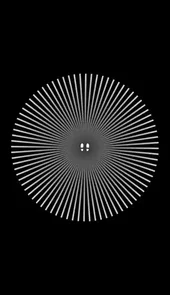 dark echo