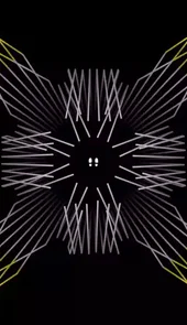 dark echo