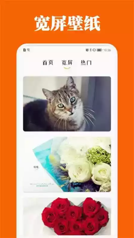 百变主题app