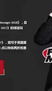 fm2019安卓版